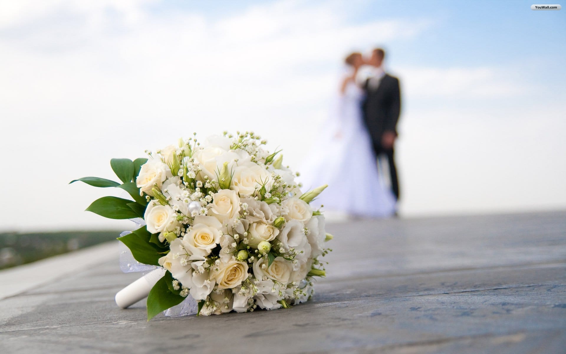Wedding Limousine Hire, Wedding Limo Hire Oakville, Wedding Limo Hire Toronto, Wedding Limo Service